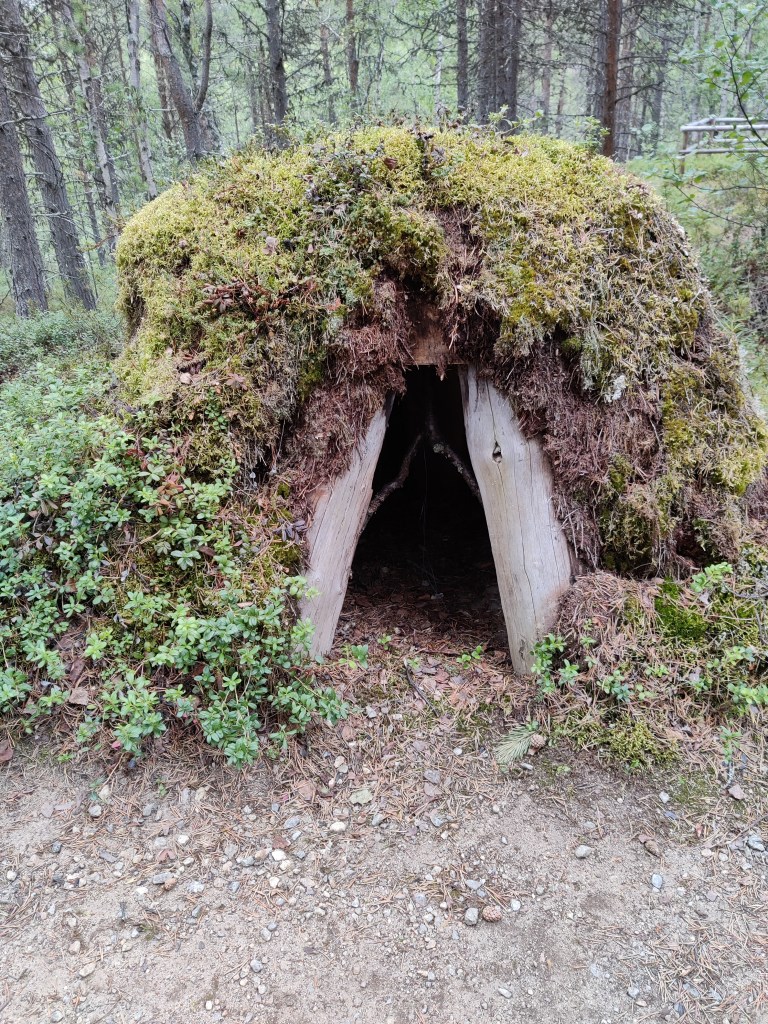 Kuva sammaleen peittämästä keosta, jossa on puille tuettu oviaukko.