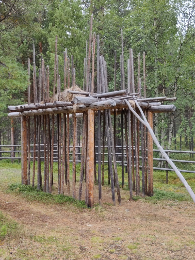 Kuva pystyyn isketyistä puista rakennetusta korkeasta telineestä.