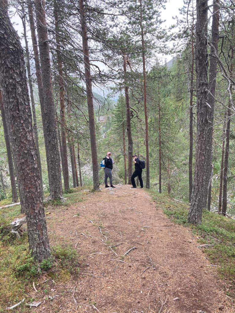Kaukaa otettu kuva Katjasta ja Tupusta neulasten peittämän polun päässä, keskellä mäntyjä. Polku päättyy jyrkänteeseen, joka ei metsän takia erotu kunnolla. Kumpikin katsovat kameraa ja morjenstavat.