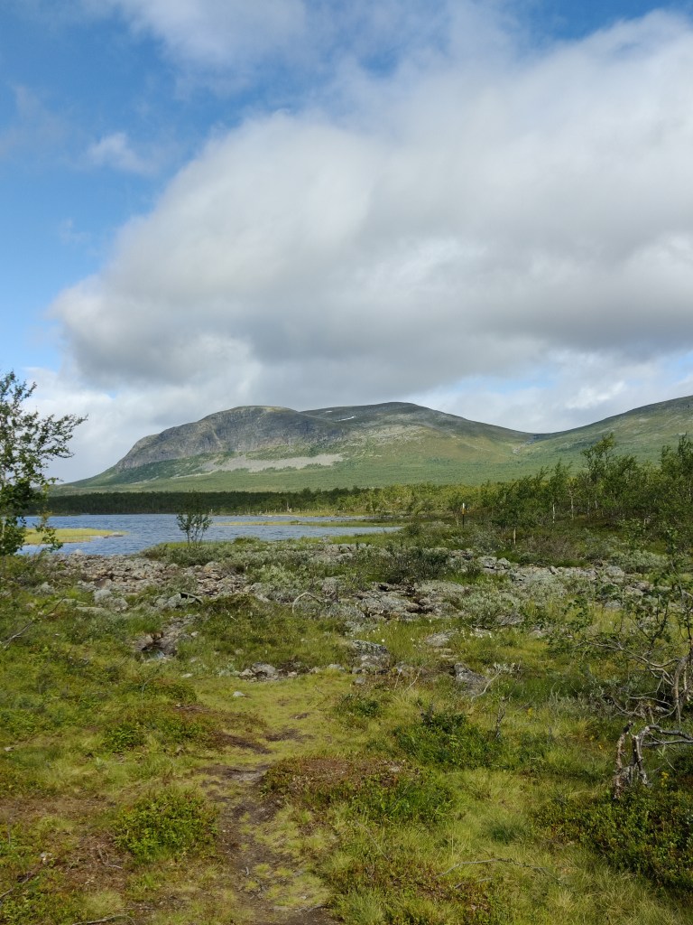 Kuva karusta ja kivikkoisesta tunturimaisemasta. Varpuja ja vaivaiskoivuja, taustalla pieni järvi ja tunturi.