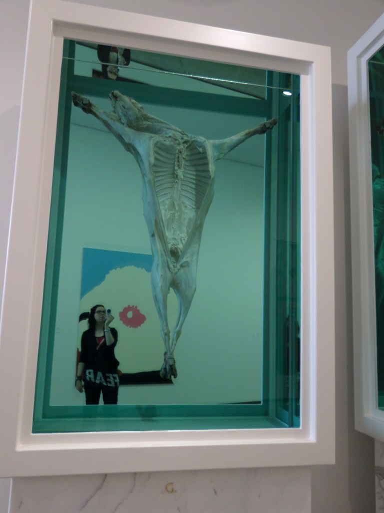 Kuvassa valkoisissa kehyksissä oleva lampaan ruho, joka on aseteltu ristiinnaulitun asentoon. Taustapeilistä heijastuu Katjan kuva.