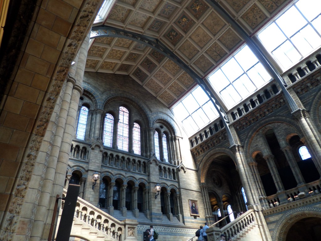 Museon ala-aulan katto kohoaa korkeuksiin. Arkkitehtuurissa on goottilaishenkisiä holvikaaria ja pyöreitä ikkunan yläosia.