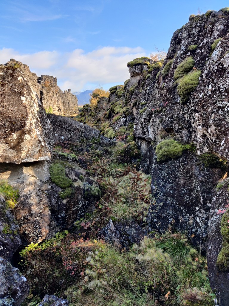 Kuvassa korkeita kivimuodostelmia.