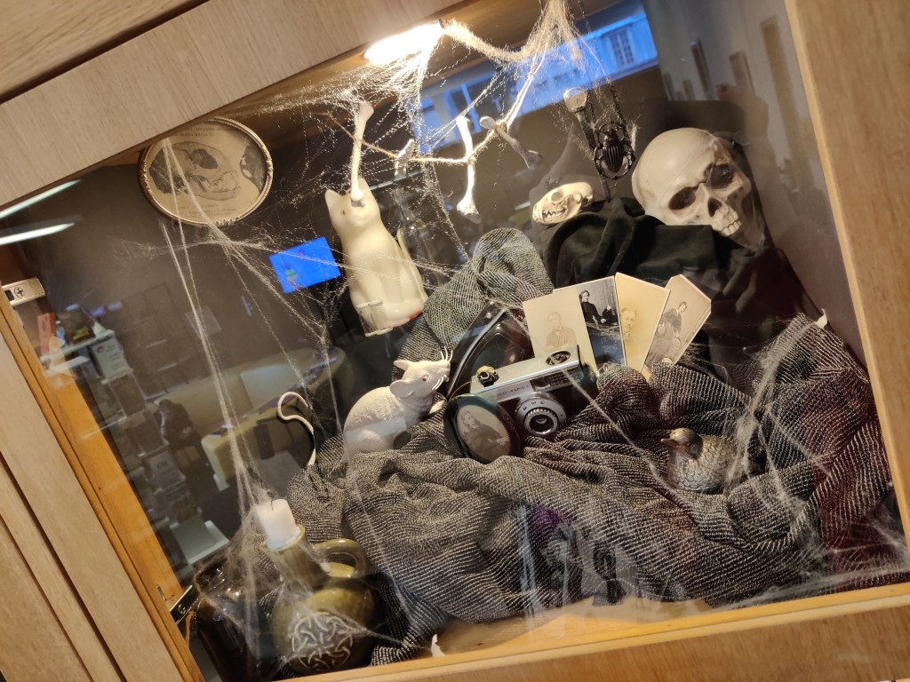 Lasi-ikkunan takana hämähäkin seittiä, pullossa oleva kynttilä, vanha kamera ja valokuvia, pääkaloja ja kissa- ja rottapatsaat.