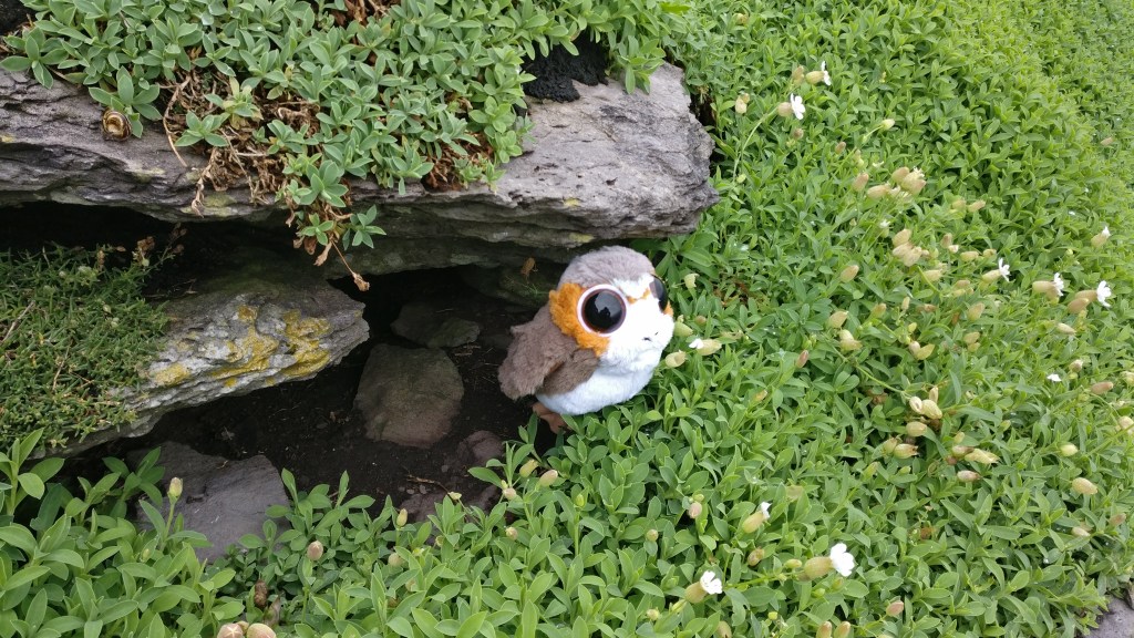 Kuva linnun kaltaisesta pehmolelusta, joka istuu kiven alla olevan kolon suulla. Ympärillä vihreää kasvustoa, jossa pieniä valkoisia kukkia.