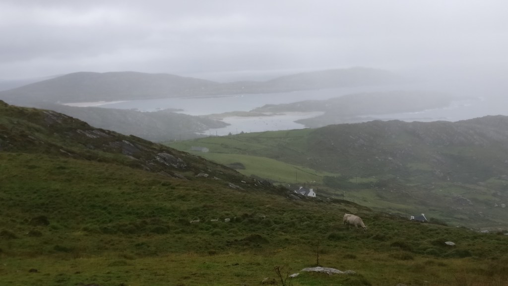 Sumuinen maisema, jossa kivikkoisilla, mutta vihreillä kalloilla laiduntaa lampaita. Kaukana näkyy merenranta ja rantakalliot.