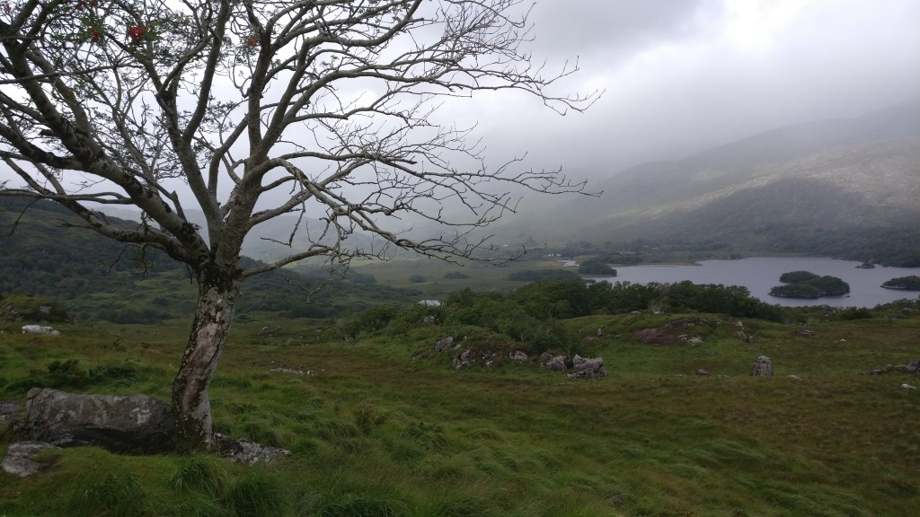 Maisemakuva, jossa etualalla lehdetön puu, karu maa, pensaikkoa ja järvi. Taustalla kukkulat piiloutuvat sumuun.