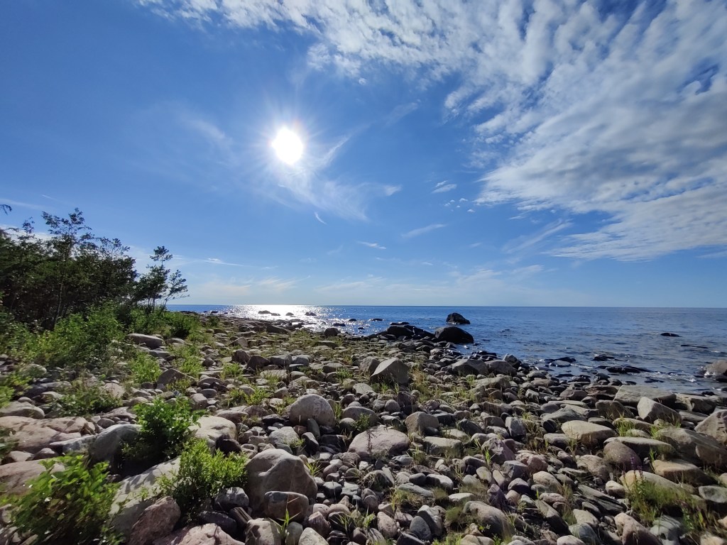 Kuva kivikkoisesta merenrannasta, jossa on muutamia vihreitä pensaita ja varpuja. Taivas on sininen ja aurinko paistaa hentojen pilvien vierestä.