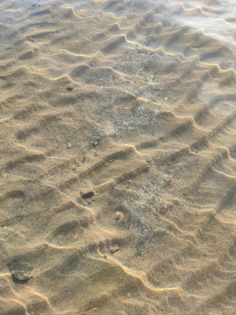 Erikoislähikuva matalasta merenpohjasta, jonne on muodostunut dyynejä. Pohjalla kimmeltää auringonvalossa pieniä kiviä.