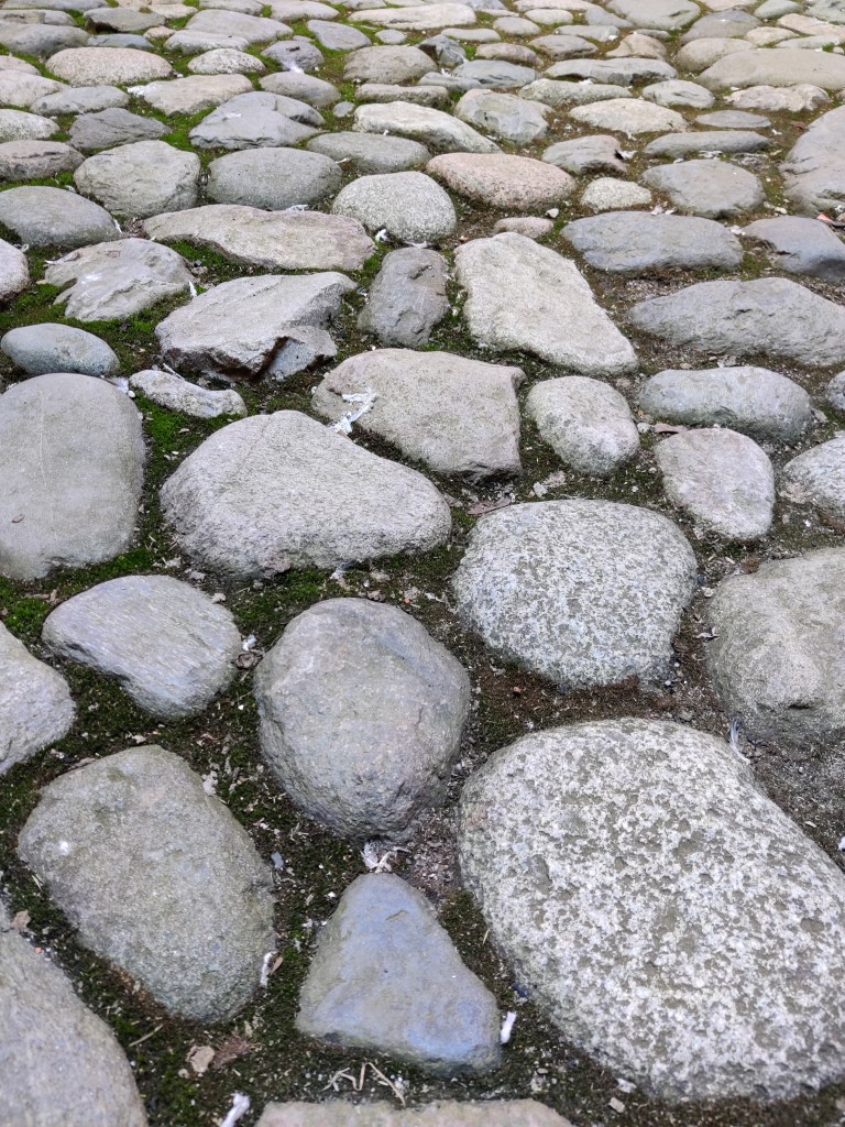 Erityislähikuva mukulakivikadusta.