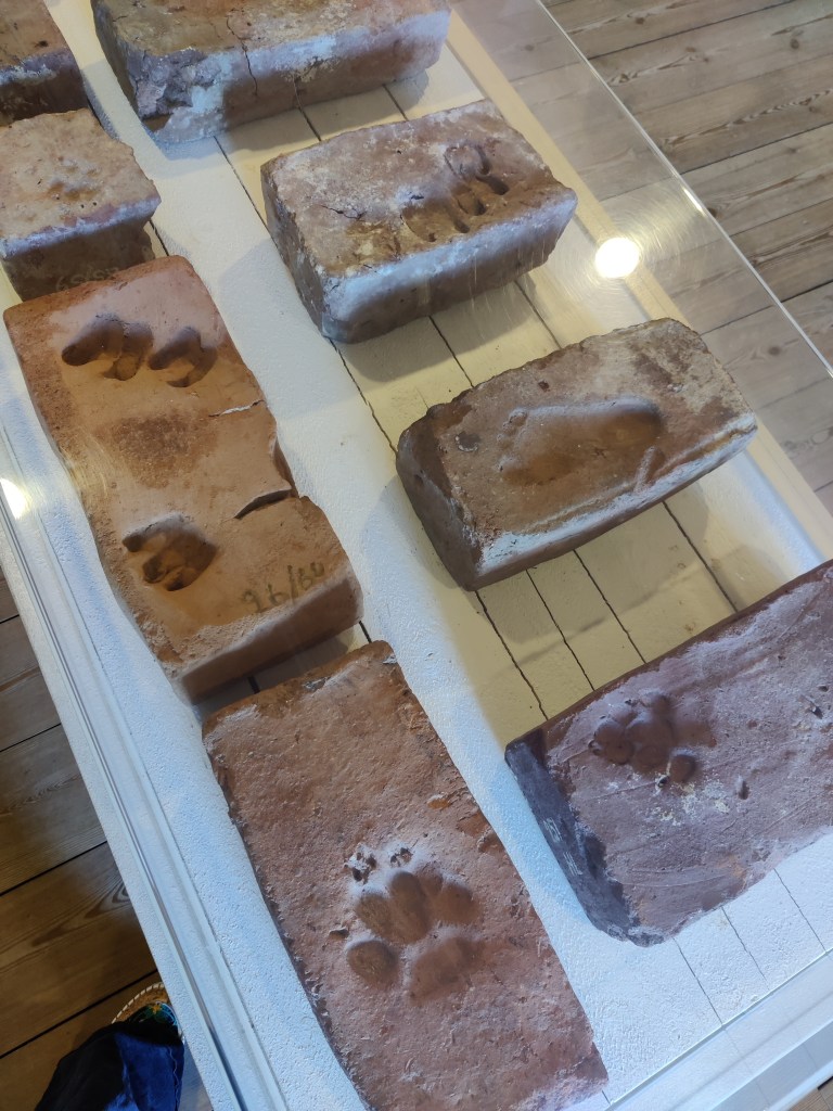 Kuvassa vitriiniin koottuja tiiliä, joihin on jäänyt erilaisten eläinten ja myös lasten jalanjälkiä.