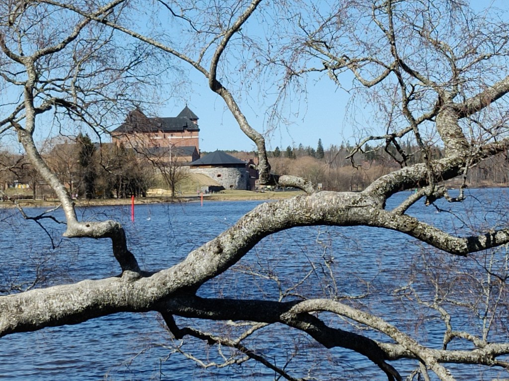 Puun oksien läpi otettu kuva joen takana siintävästä Hämeen linnasta. Taustalla pilveton taivas.