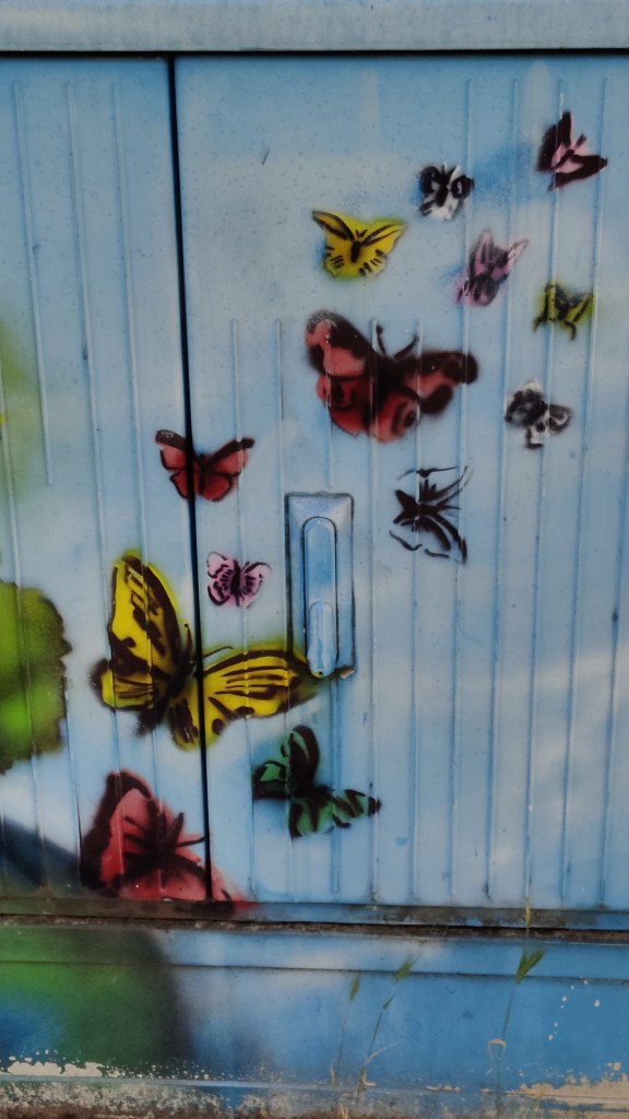 Lähikuva seinään spreijatuista värikkäistä perhosista.