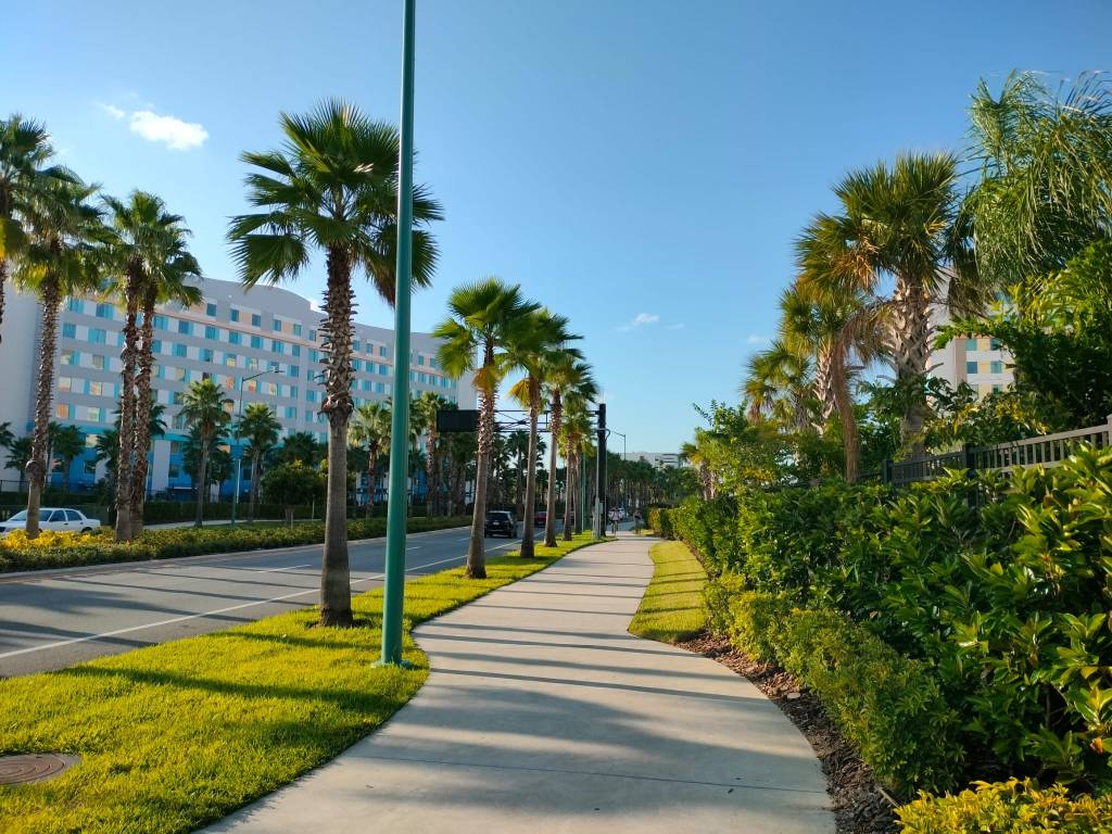 Kuva palmujen reunustamasta kadusta, jonka vasemmalla puolella oleva kerrostalon kokoinen hotelli näkyy hiemanparemmin kuin oikealla puolella palmujen peittämä oma hotellimme.