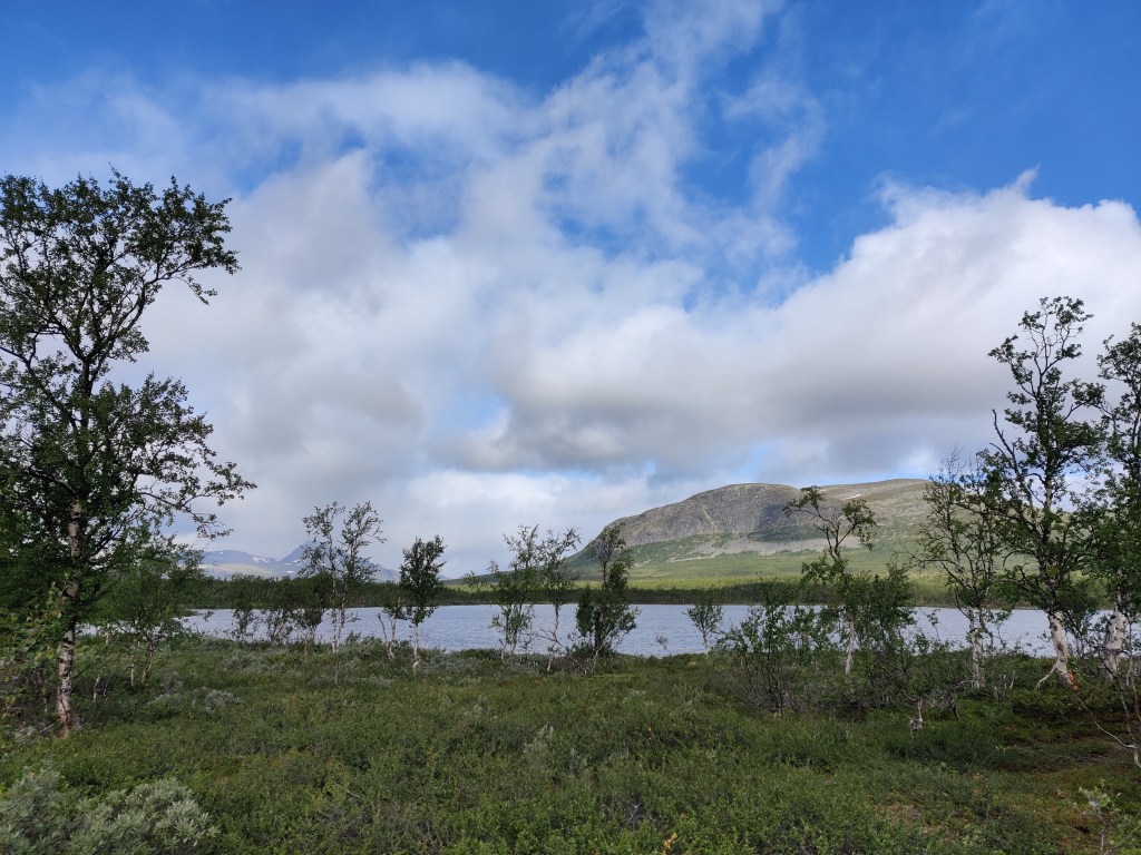 Kuvassa etualalla vihreää varvikkoa ja kitukasvuisia koivuja. Niiden takana erottuu kaitale järveä, jonka takana puolestaan kivisen tunturin laki. Taivas on lähes pilvessä, mutta tummansininen väri erottuu kuitenkin vahvasti kuvan yläreunassa.