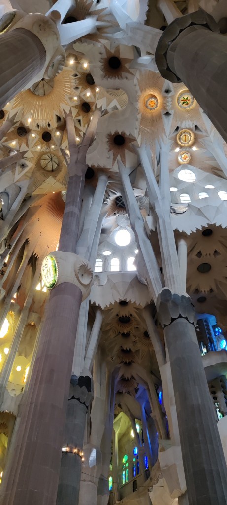 Kuvassa valtavan korkea holvikatto, jota kannattelee usea, korkea pylväs. Pylväät haarautuvat kattoon kuin puunoksat. Katossa näkuu erilaisia symboleja. Pinnat ovat elävän oloisia.