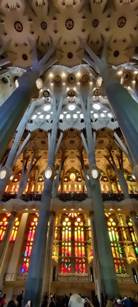 Kuvassa jälleen valtavan korkealla oleva katto, jota kannattelee useampi puumainen pylväs. Taustalla näkyy monikerroksiset, eriväriset ikkunat, joista suodatuu lasimaalausten läpi punaisen, vihreän ja keltaisen eri sävyjä.