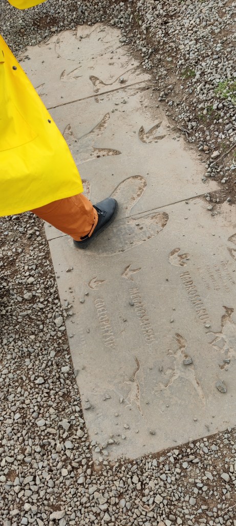 Keltaiseen sadetakkiin verhoutuneen Hannan jalka laattaan kuvatun dinosauruksen jalanjäljen päällä. Hannan kenkä on vähän reilu puolikas jalanjäljen kokopituudesta.