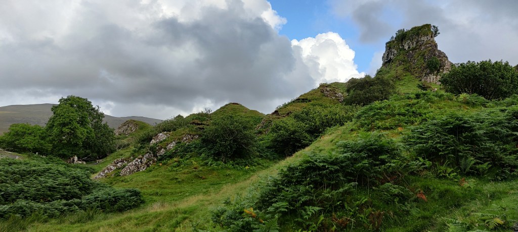 Vihreä rinne, jossa paljon saniaisia, taustalla jokunen puu. Oikeassa reunassa kohoaa kivinen, erottuva kukkula.