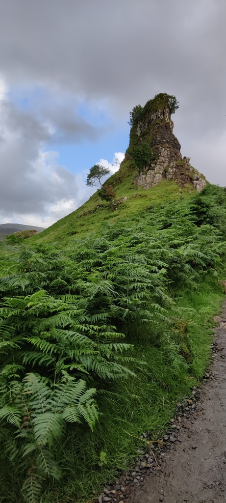 Hiekkatietä reunustaa valtava määrä saniaisia. Tie vie kivisen, erottuvan kukkulan ohi. Kukkulan juurella seisoo yksinäinen pieni lehtipuu.