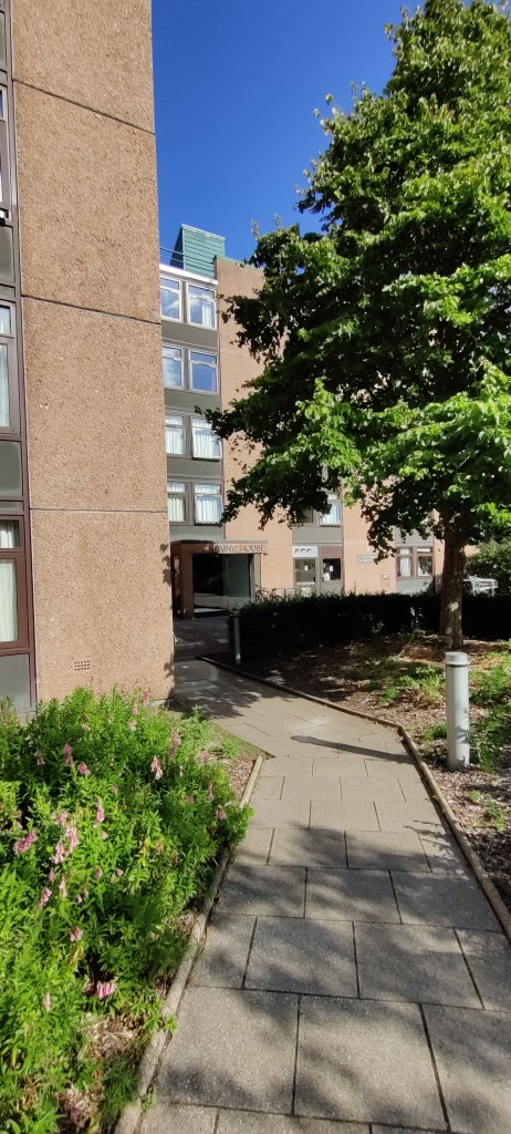 Laatoitettu polku vie ruskean kivirakennuksen pihaan. Kulman takaa erottuu pääovi. Rakennus on viisikerroksinen ja sen edessä seisoo vihreä puu.